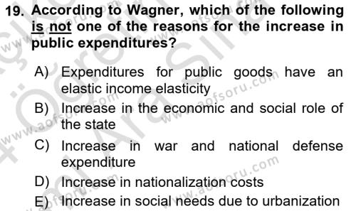 Public Finance Dersi 2023 - 2024 Yılı (Vize) Ara Sınavı 19. Soru