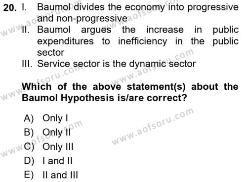 Public Finance Dersi 2023 - 2024 Yılı (Vize) Ara Sınavı 20. Soru
