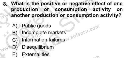 Public Finance Dersi 2023 - 2024 Yılı (Vize) Ara Sınavı 8. Soru