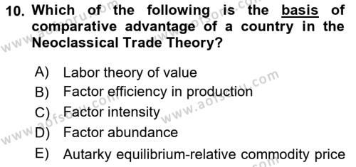 International Economics 1 Dersi 2024 - 2025 Yılı (Vize) Ara Sınavı 10. Soru