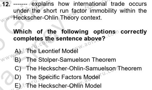 International Economics 1 Dersi 2024 - 2025 Yılı (Vize) Ara Sınavı 12. Soru