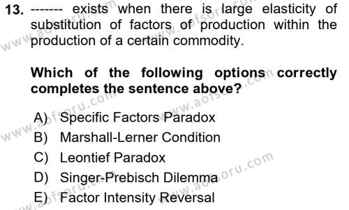 International Economics 1 Dersi 2024 - 2025 Yılı (Vize) Ara Sınavı 13. Soru