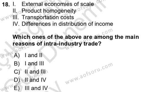 International Economics 1 Dersi 2024 - 2025 Yılı (Vize) Ara Sınavı 18. Soru