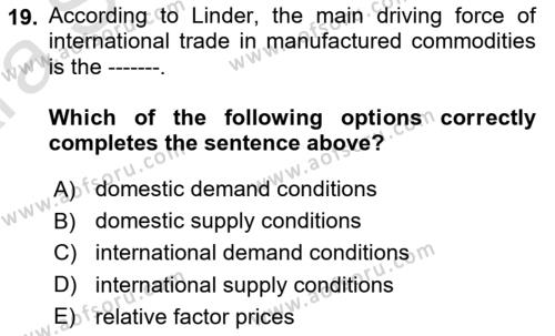 International Economics 1 Dersi 2024 - 2025 Yılı (Vize) Ara Sınavı 19. Soru
