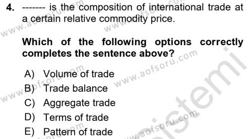 International Economics 1 Dersi 2024 - 2025 Yılı (Vize) Ara Sınavı 4. Soru