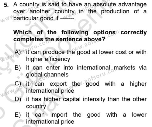 International Economics 1 Dersi 2024 - 2025 Yılı (Vize) Ara Sınavı 5. Soru