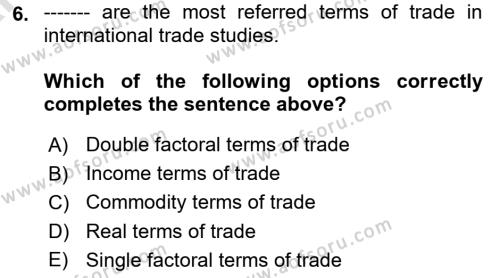 International Economics 1 Dersi 2024 - 2025 Yılı (Vize) Ara Sınavı 6. Soru
