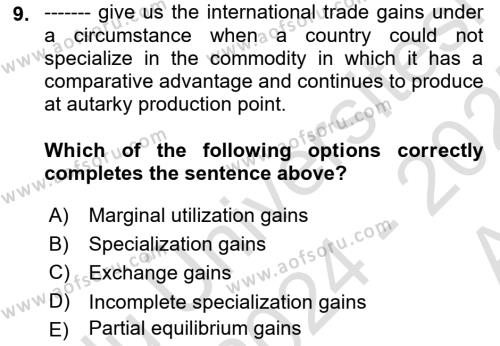 International Economics 1 Dersi 2024 - 2025 Yılı (Vize) Ara Sınavı 9. Soru