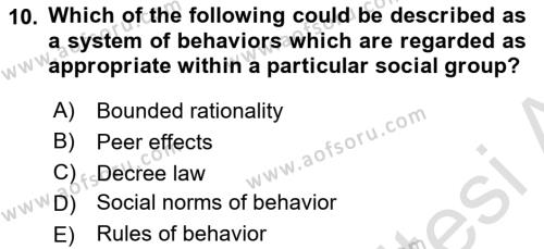 Behavioral Economics Dersi 2023 - 2024 Yılı (Vize) Ara Sınavı 10. Soru