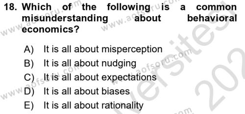 Behavioral Economics Dersi 2023 - 2024 Yılı (Vize) Ara Sınavı 18. Soru
