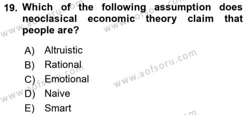 Behavioral Economics Dersi 2023 - 2024 Yılı (Vize) Ara Sınavı 19. Soru