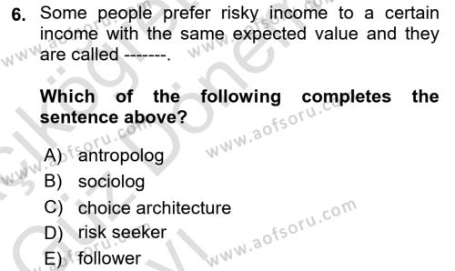 Behavioral Economics Dersi 2023 - 2024 Yılı (Vize) Ara Sınavı 6. Soru