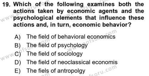 Behavioral Economics Dersi 2023 - 2024 Yılı Yaz Okulu Sınavı 19. Soru