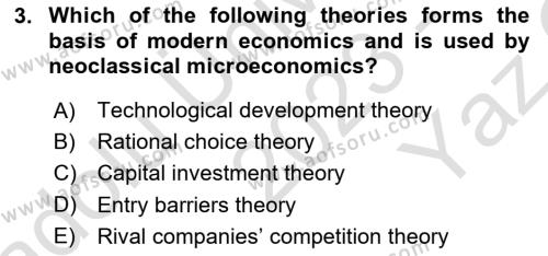 Behavioral Economics Dersi 2023 - 2024 Yılı Yaz Okulu Sınavı 3. Soru