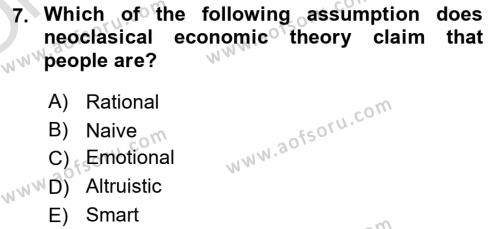 Behavioral Economics Dersi 2023 - 2024 Yılı Yaz Okulu Sınavı 7. Soru