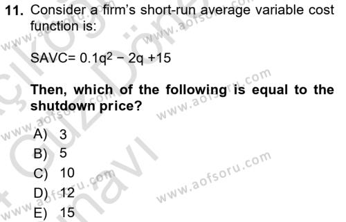 Industrial Economics Dersi 2023 - 2024 Yılı (Vize) Ara Sınavı 11. Soru