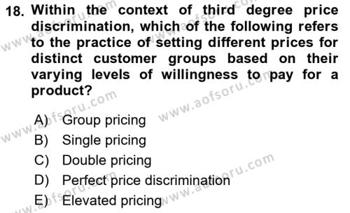 Industrial Economics Dersi 2023 - 2024 Yılı (Vize) Ara Sınavı 18. Soru