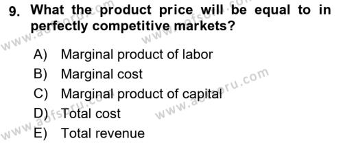 Industrial Economics Dersi 2023 - 2024 Yılı (Vize) Ara Sınavı 9. Soru