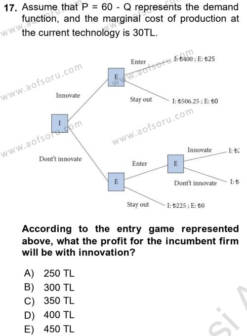 Industrial Economics Dersi 2023 - 2024 Yılı (Final) Dönem Sonu Sınavı 17. Soru