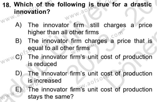 Industrial Economics Dersi 2023 - 2024 Yılı (Final) Dönem Sonu Sınavı 18. Soru