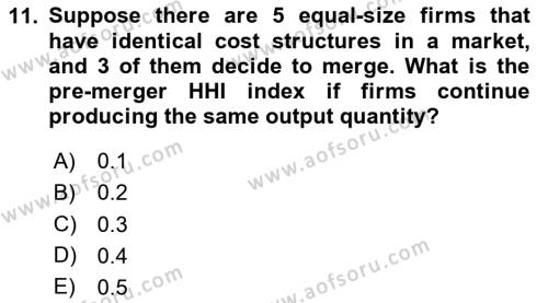 Industrial Economics Dersi 2023 - 2024 Yılı Yaz Okulu Sınavı 11. Soru