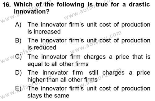 Industrial Economics Dersi 2023 - 2024 Yılı Yaz Okulu Sınavı 16. Soru