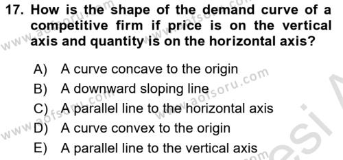 Industrial Economics Dersi 2023 - 2024 Yılı Yaz Okulu Sınavı 17. Soru