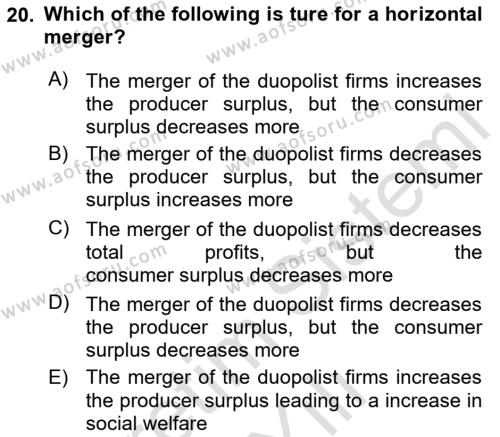 Industrial Economics Dersi 2023 - 2024 Yılı Yaz Okulu Sınavı 20. Soru