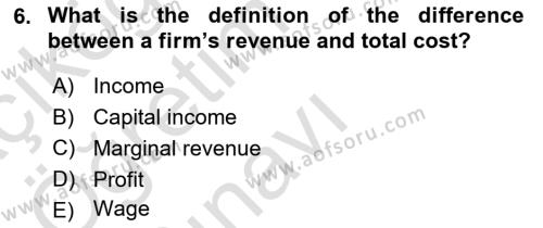 Industrial Economics Dersi 2023 - 2024 Yılı Yaz Okulu Sınavı 6. Soru