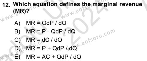 Industrial Economics Dersi 2024 - 2025 Yılı (Vize) Ara Sınavı 12. Soru