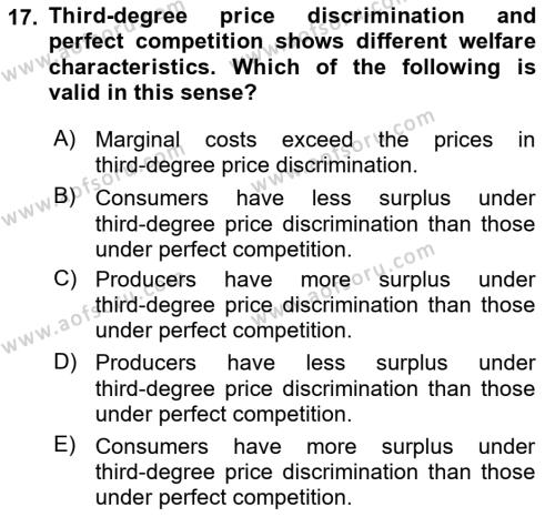 Industrial Economics Dersi 2024 - 2025 Yılı (Vize) Ara Sınavı 17. Soru