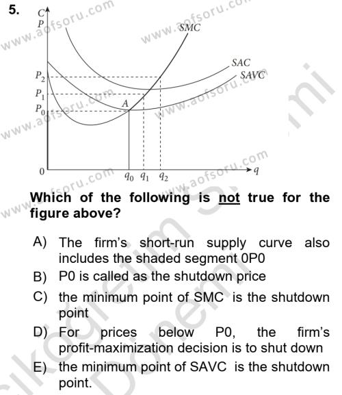 Industrial Economics Dersi 2024 - 2025 Yılı (Vize) Ara Sınavı 5. Soru