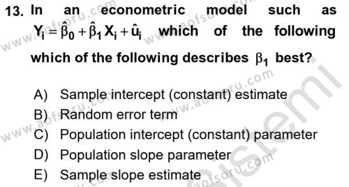 Econometrics 1 Dersi 2023 - 2024 Yılı (Vize) Ara Sınavı 13. Soru