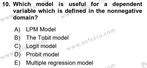 Econometrics 1 Dersi 2023 - 2024 Yılı (Final) Dönem Sonu Sınavı 10. Soru