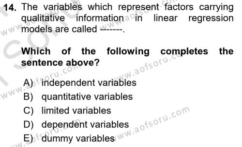 Econometrics 1 Dersi 2023 - 2024 Yılı (Final) Dönem Sonu Sınavı 14. Soru