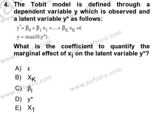 Econometrics 1 Dersi 2023 - 2024 Yılı (Final) Dönem Sonu Sınavı 4. Soru