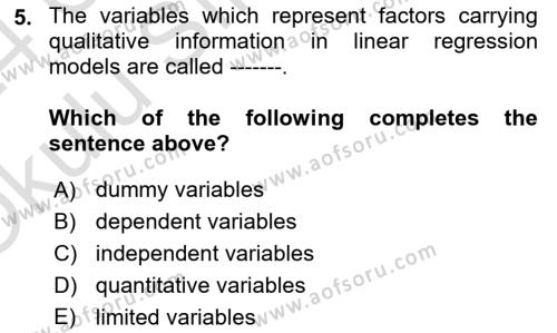 Econometrics 1 Dersi 2023 - 2024 Yılı Yaz Okulu Sınavı 5. Soru