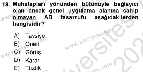 Avrupa Birliği Dersi 2021 - 2022 Yılı (Vize) Ara Sınavı 18. Soru