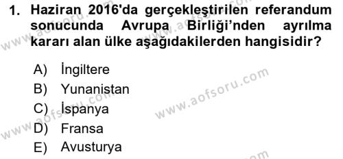 Avrupa Birliği Dersi 2021 - 2022 Yılı Yaz Okulu Sınavı 1. Soru