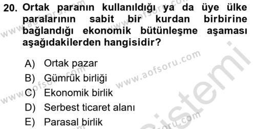 Avrupa Birliği Dersi 2021 - 2022 Yılı Yaz Okulu Sınavı 20. Soru