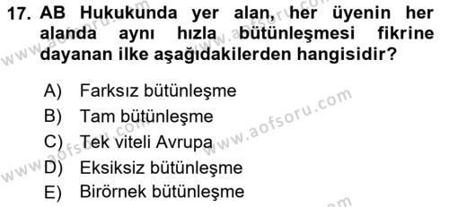 Avrupa Birliği Dersi 2022 - 2023 Yılı (Vize) Ara Sınavı 17. Soru