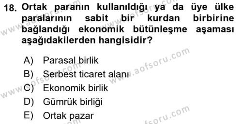 Avrupa Birliği Dersi 2022 - 2023 Yılı (Final) Dönem Sonu Sınavı 18. Soru