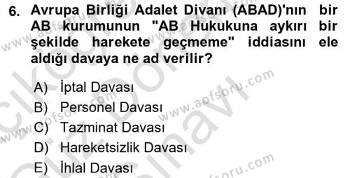 Avrupa Birliği Dersi 2022 - 2023 Yılı (Final) Dönem Sonu Sınavı 6. Soru