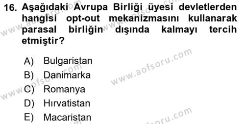 Avrupa Birliği Dersi 2023 - 2024 Yılı (Vize) Ara Sınavı 16. Soru