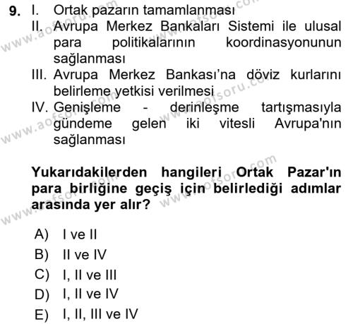 Avrupa Birliği Dersi 2023 - 2024 Yılı (Vize) Ara Sınavı 9. Soru