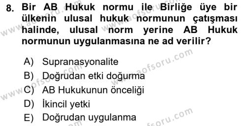 Avrupa Birliği Dersi 2023 - 2024 Yılı (Final) Dönem Sonu Sınavı 8. Soru