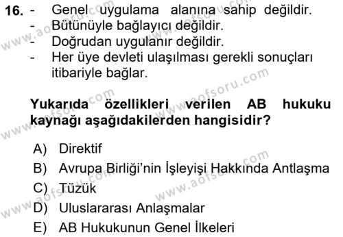 Avrupa Birliği Dersi 2024 - 2025 Yılı (Vize) Ara Sınavı 16. Soru