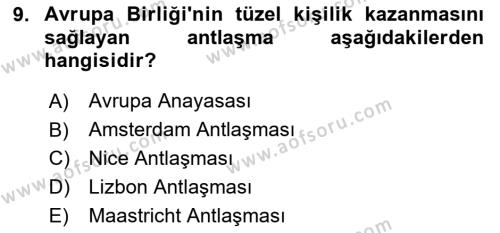 Avrupa Birliği Dersi 2024 - 2025 Yılı (Vize) Ara Sınavı 9. Soru