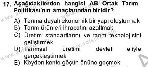 Türkiye Ekonomisi Dersi 2012 - 2013 Yılı (Vize) Ara Sınavı 17. Soru