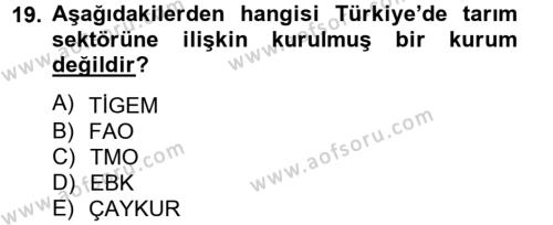 Türkiye Ekonomisi Dersi 2012 - 2013 Yılı (Vize) Ara Sınavı 19. Soru